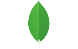 Mongodb Image